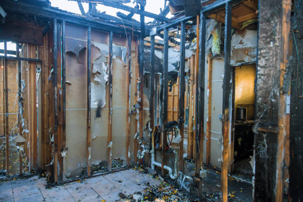 Professional Odor Removal technician working in Plains, TX